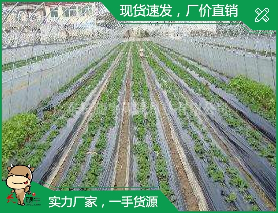 上海农用膜